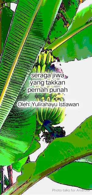 UTUH